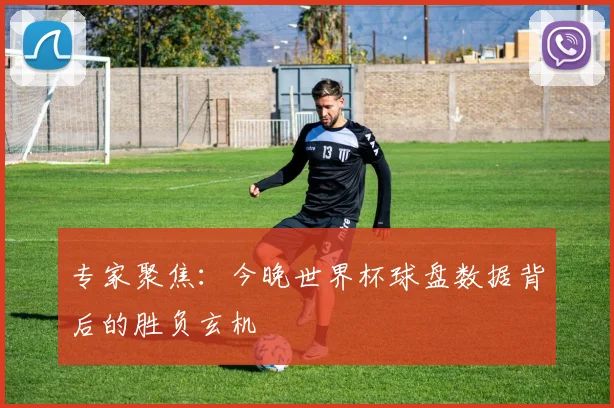 专家聚焦：今晚世界杯球盘数据背后的胜负玄机