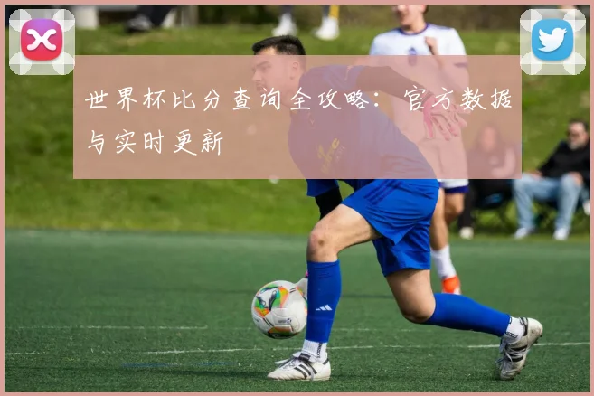 世界杯比分查询全攻略:官方数据与实时更新