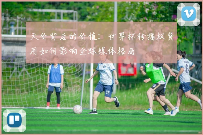 天价背后的价值:世界杯转播权费用如何影响全球媒体格局