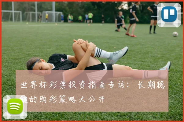 世界杯彩票投资指南专访：长期稳健的购彩策略大公开