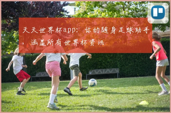 天天世界杯app：你的随身足球助手，涵盖所有世界杯资讯