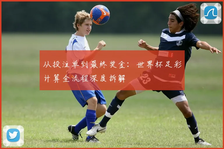 从投注单到最终奖金:世界杯足彩计算全流程深度拆解