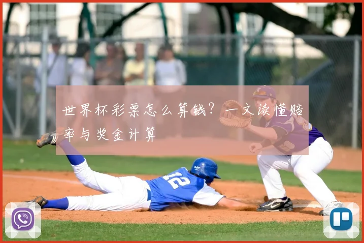 世界杯彩票怎么算钱？一文读懂赔率与奖金计算
