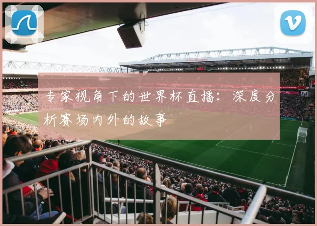 专家视角下的世界杯直播:深度分析赛场内外的故事