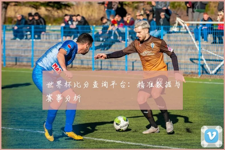 世界杯比分查询平台：精准数据与赛事分析