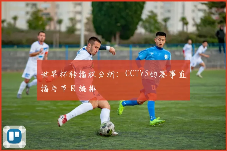 世界杯转播权分析:CCTV5的赛事直播与节目编排