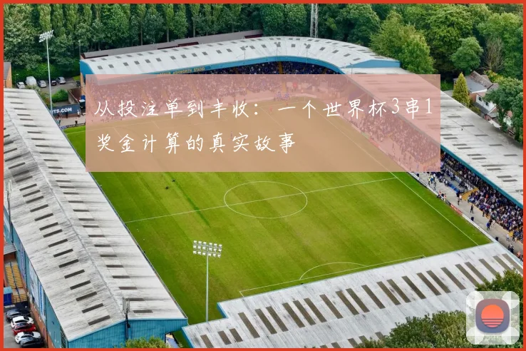 从投注单到丰收：一个世界杯3串1奖金计算的真实故事