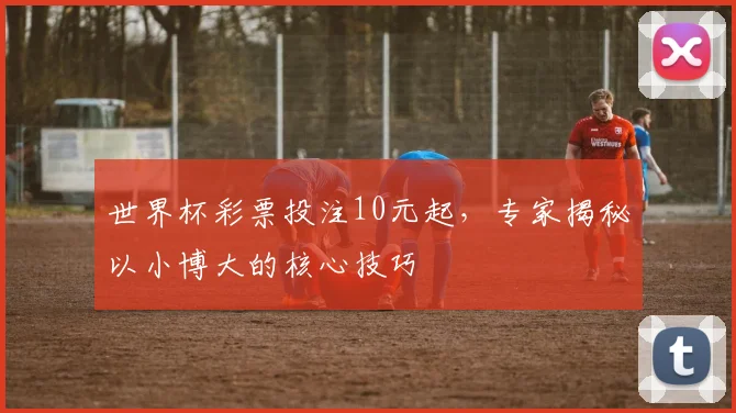 世界杯彩票投注10元起,专家揭秘以小博大的核心技巧