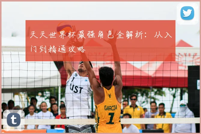 天天世界杯最强角色全解析：从入门到精通攻略